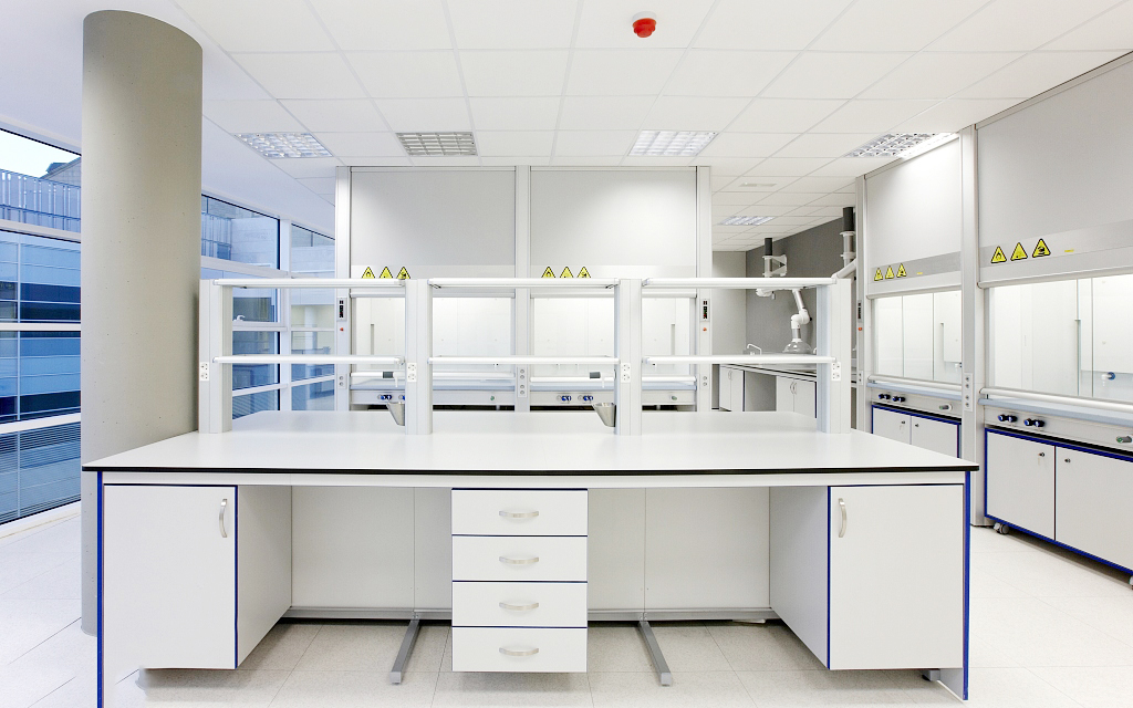 新研究稱腦部真菌感染會產(chǎn)生類似阿爾茨海默病的變化