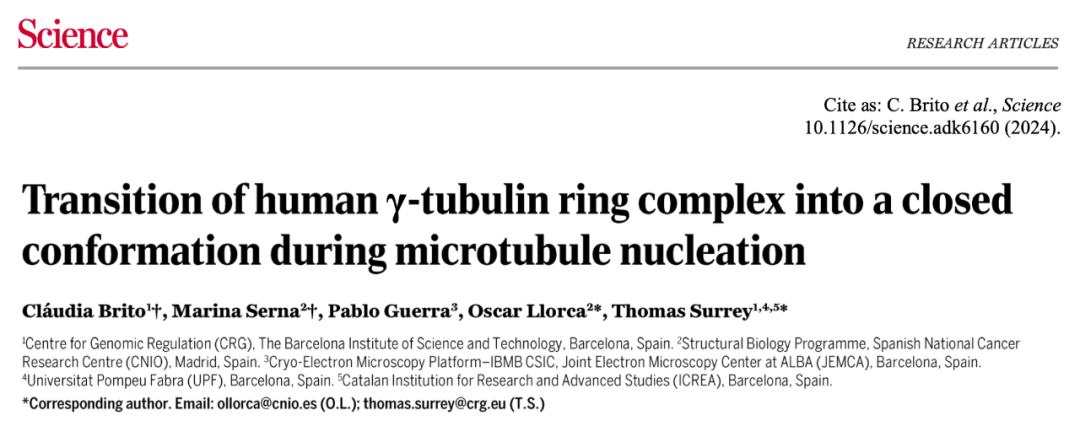 Science重磅：首次捕獲人類細胞“高速公路”構建過程的高分辨率圖像，為微管相關疾病的治療指明新的方向！